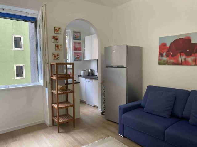 Appartamento in affitto a Milano MI
