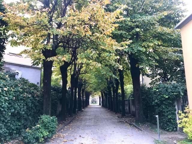 Appartamento in affitto a Milano MI