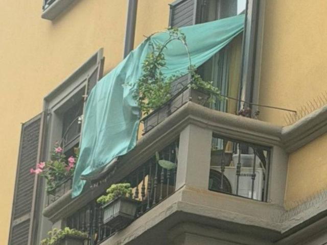 Appartamento in affitto a Milano MI