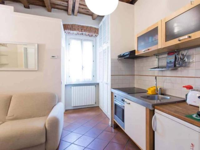 Appartamento in affitto a Milano MI
