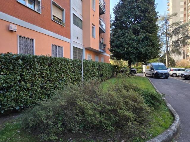 Appartamento in affitto a Milano MI