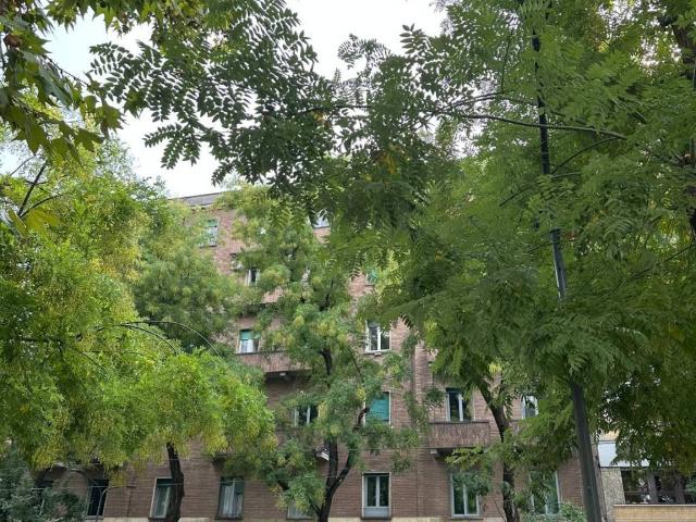 Appartamento in affitto a Milano MI