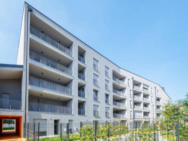 Appartamento in affitto a Milano MI