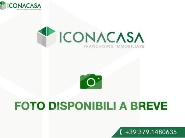 Appartamento in affitto a Milano MI