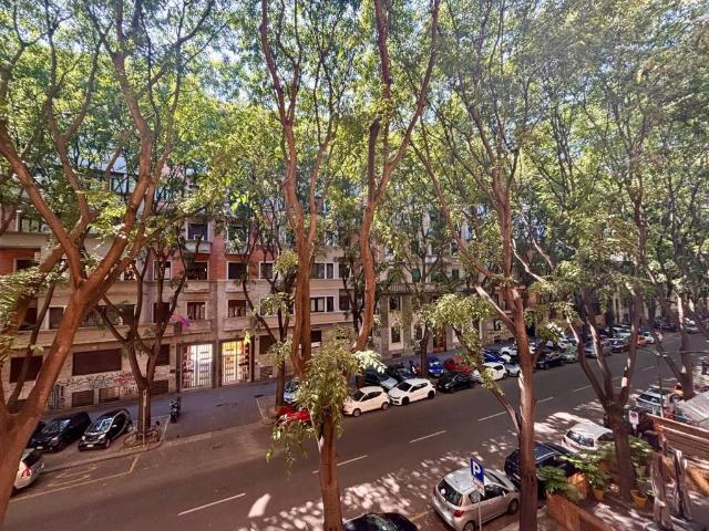 Appartamento in affitto a Milano MI