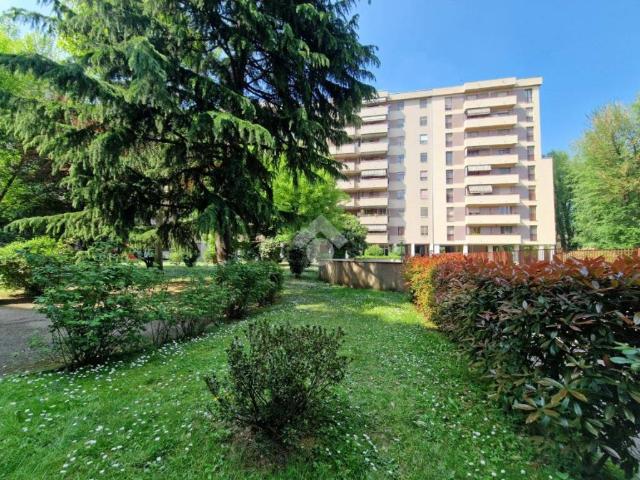Appartamento in affitto a Milano MI