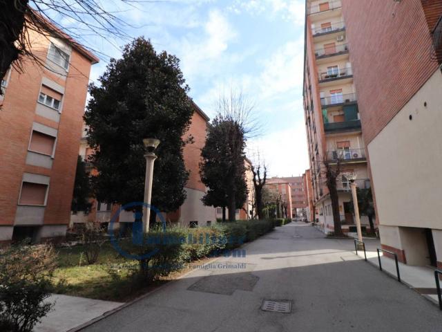 Appartamento in affitto a Milano MI
