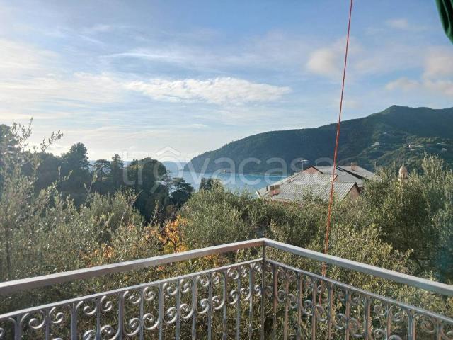 Appartamento in affitto a Moneglia località Morteo, 16, arredato, posto auto, terrazzo TrovaCasa