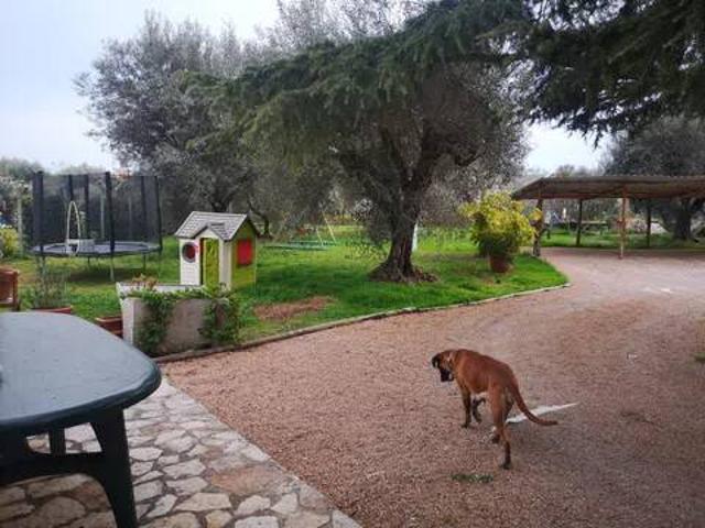 Appartamento in affitto a Montalto di Castro VT