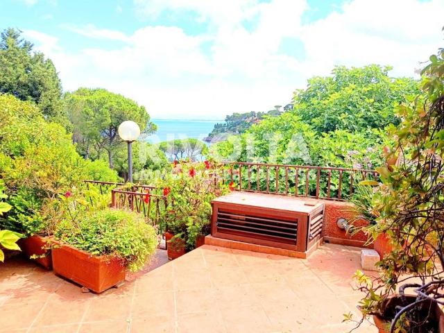 Appartamento in affitto a Monte Argentario GR