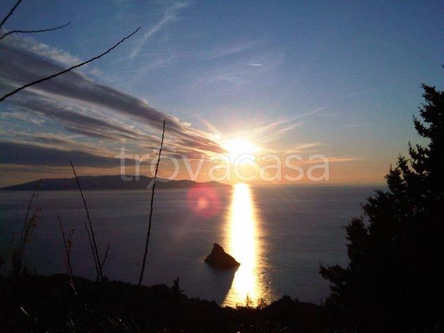Appartamento in affitto a Monte Argentario località Calamoresca, arredato, giardino privato, posto auto TrovaCasa