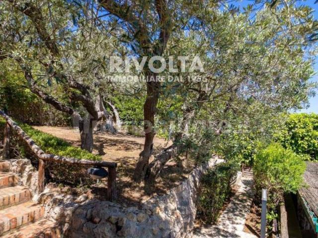 Appartamento in affitto a Monte Argentario via dell'Olmo, arredato, giardino privato, posto auto TrovaCasa