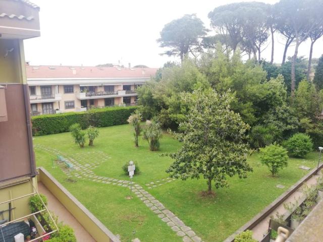 Appartamento in affitto a Monte Porzio Catone RM
