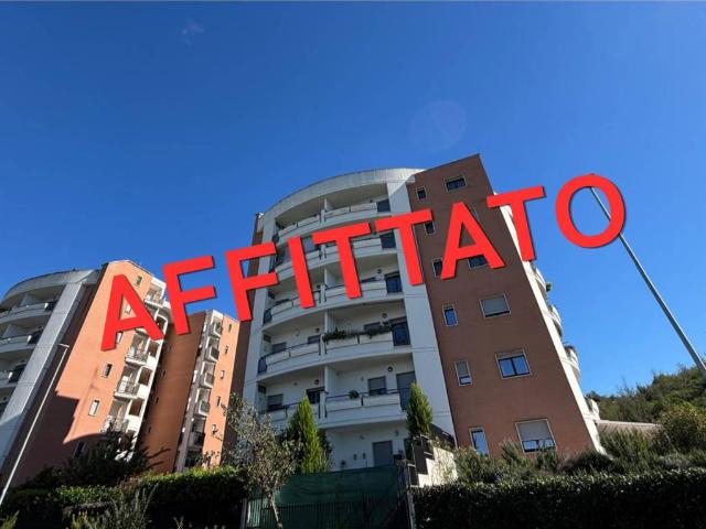 Appartamento in affitto a Monterotondo RM