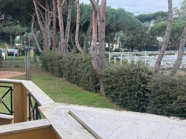 Appartamento in affitto a Montignoso MS