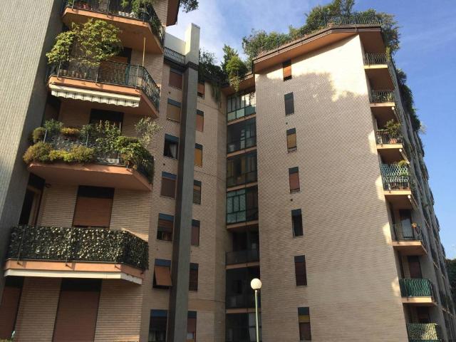Appartamento in affitto a Monza MB
