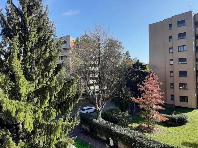 Appartamento in affitto a Monza MB