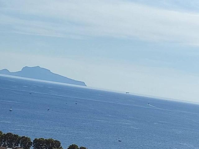 Appartamento in affitto a Napoli