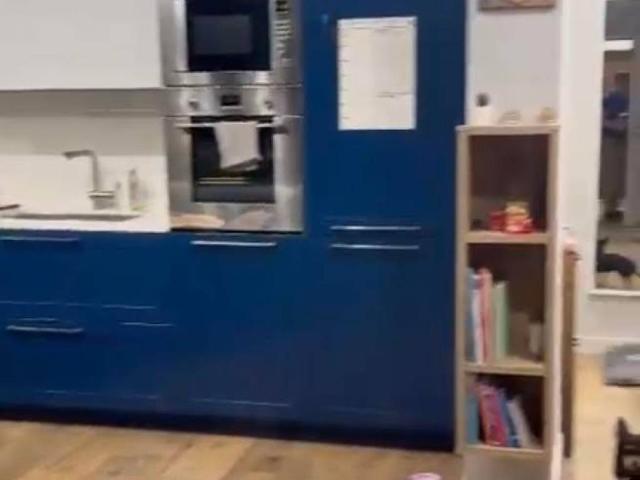 Appartamento in affitto a Napoli via Gabriele Jannelli, 12, arredato, ascensore, doppia esposizione TrovaCasa