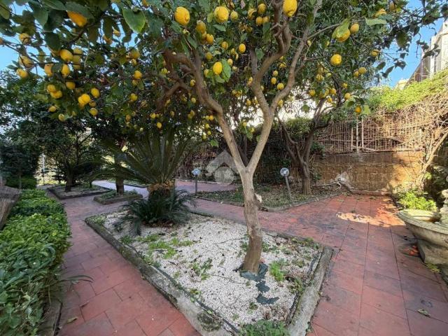 Appartamento in affitto a Napoli via Posillipo, 66, non arredato/vuoto, giardino privato, posto auto TrovaCasa