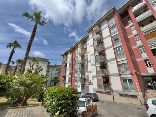 Appartamento in Affitto a Napoli Fuorigrotta