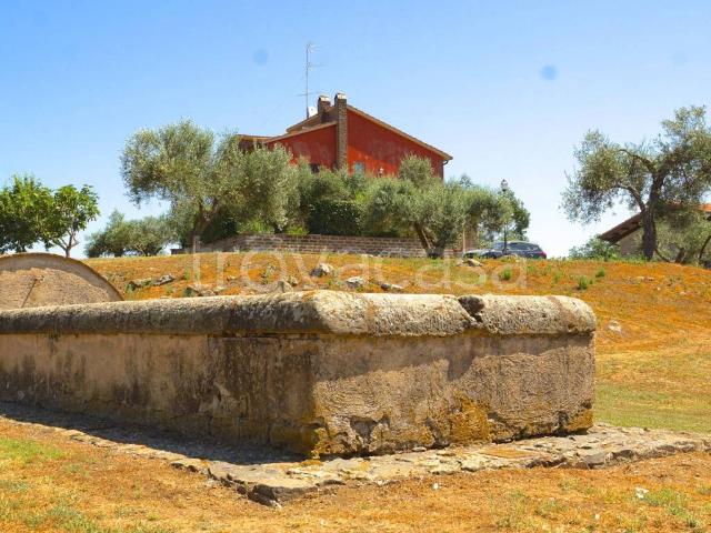 Appartamento in affitto a Nepi strada Provinciale Settevene, non arredato/vuoto, giardino privato, caminetto TrovaCasa