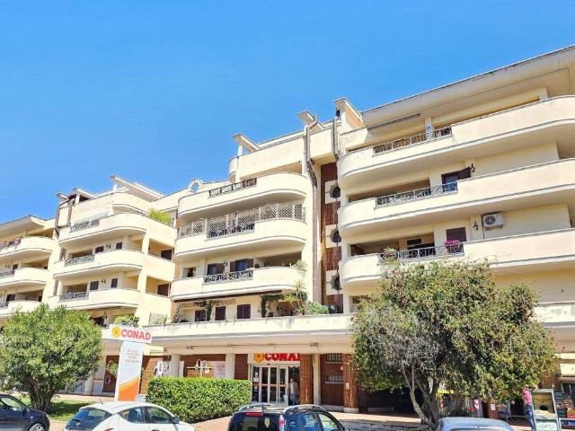 Appartamento in affitto a Nettuno RM