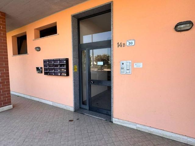Appartamento in affitto a Nettuno RM