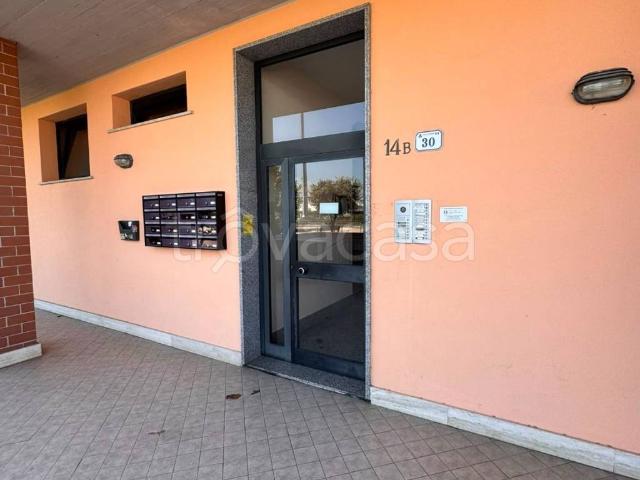 Appartamento in affitto a Nettuno via Capitano Dante Canducci, 30, arredato, terrazzo, riscaldamento autonomo TrovaCasa