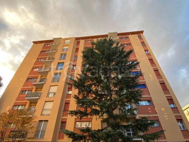 Appartamento in affitto a Novara via Claudio Monteverdi, 7, parzialmente arredato, ascensore, centrale TrovaCasa