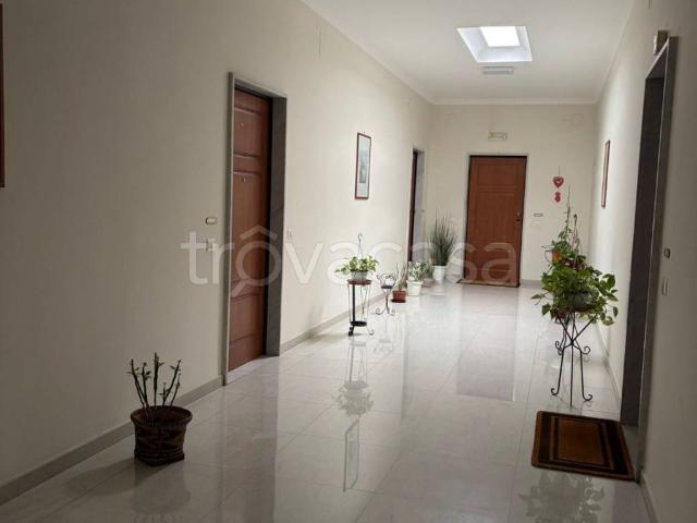 Appartamento in affitto a Ottaviano viale Elena, posto auto coperto, balcone, cucina abitabile TrovaCasa