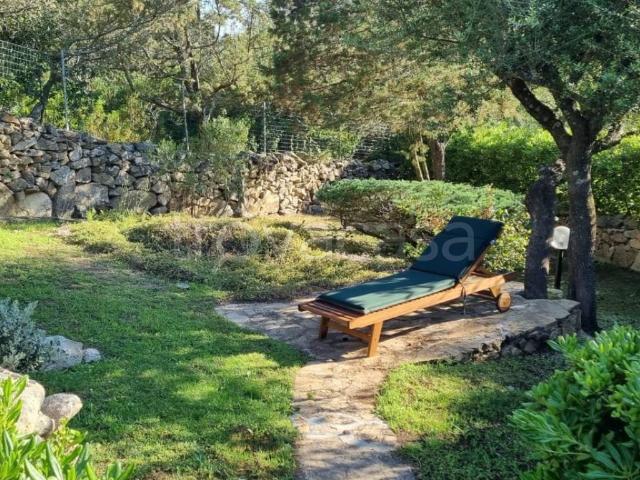 Appartamento in affitto a Olbia via dei Pesci, arredato, giardino privato, veranda TrovaCasa