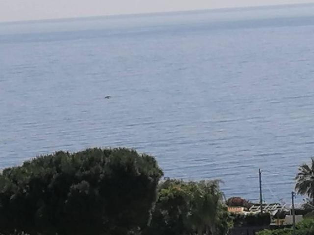 Appartamento in affitto a Acireale CT