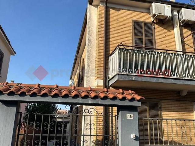 Appartamento in affitto a Albano Laziale RM