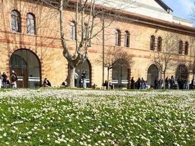 Appartamento in affitto a Ancona