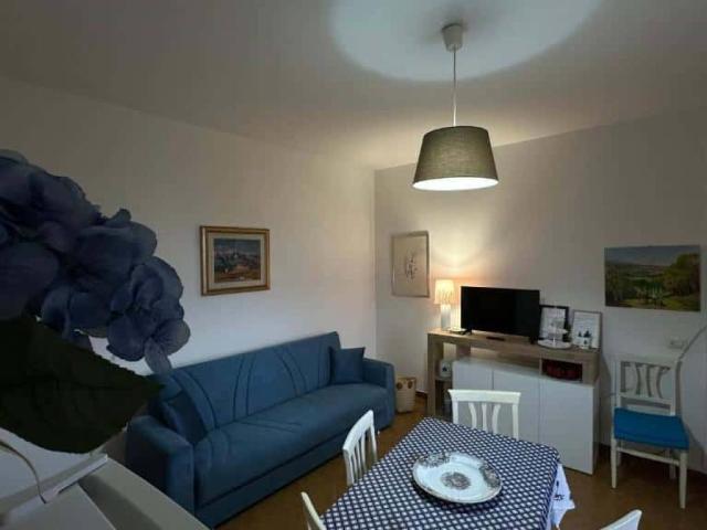 Appartamento in affitto a Arena Po PV