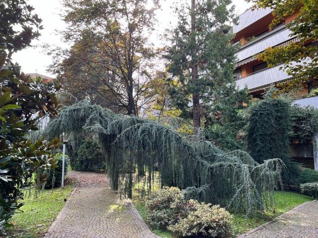 Appartamento in affitto a Arese MI