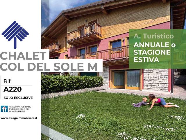 Appartamento in affitto a Asiago VI