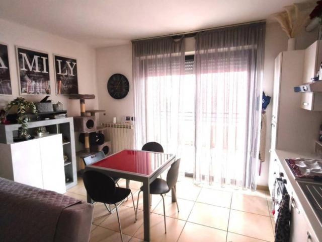 appartamento in affitto a busto arsizio