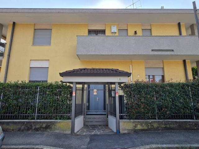Appartamento in affitto a Busto Arsizio VA