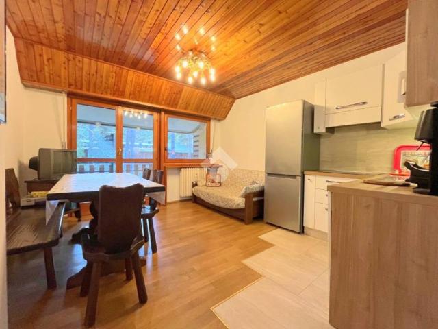 Appartamento in affitto a Bardonecchia TO