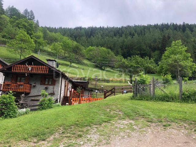 Appartamento in affitto a Bardonecchia strada Provinciale di Rochemolles, arredato, giardino privato, posto auto TrovaCasa