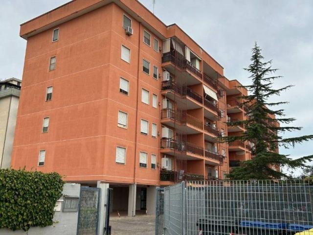 Appartamento in affitto a Bari BA