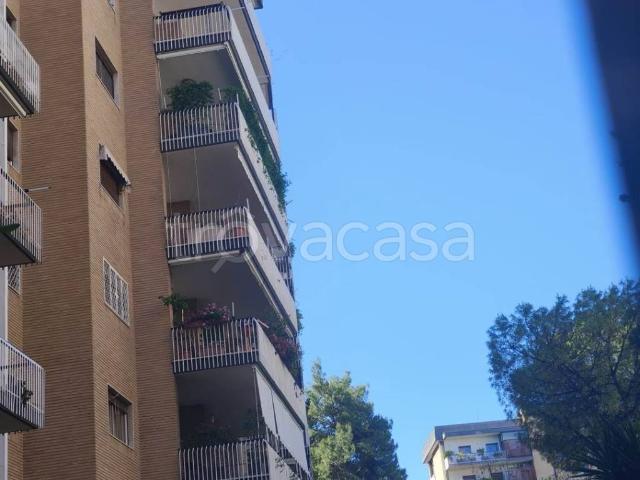 Appartamento in affitto a Bari via papa innocenzo xii, 42, arredato, ristrutturato, parquet TrovaCasa