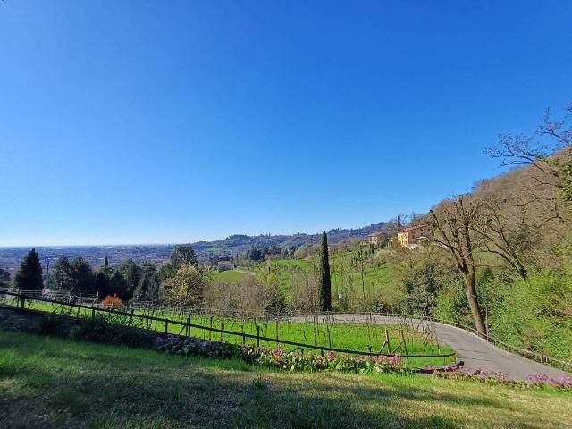 Appartamento in affitto a Bergamo BG