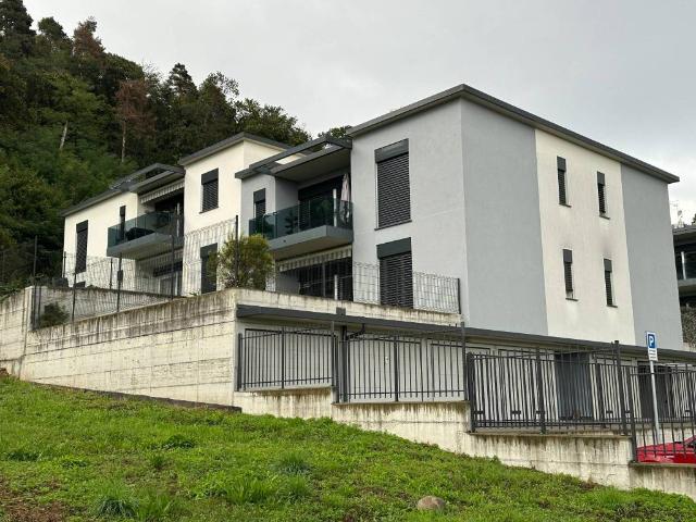Appartamento in affitto a Bizzarone CO