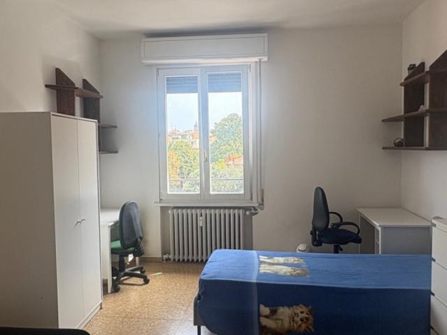 Appartamento in affitto a Bologna, case in affitto Bologna