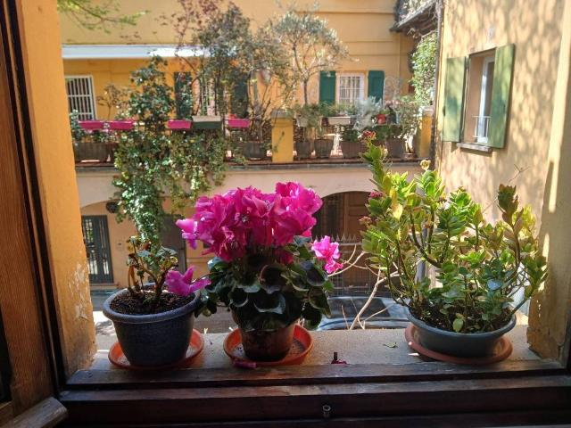 Appartamento in affitto a Bologna BO