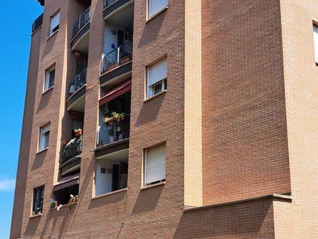Appartamento in affitto a Bologna BO