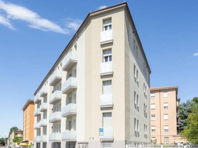 Appartamento in affitto a Bologna BO